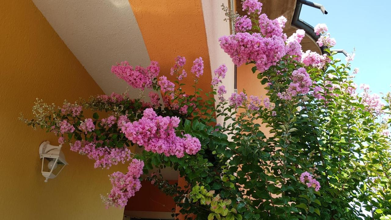 B&B Villa Giulia Дезенцано-дель-Гарда Екстер'єр фото