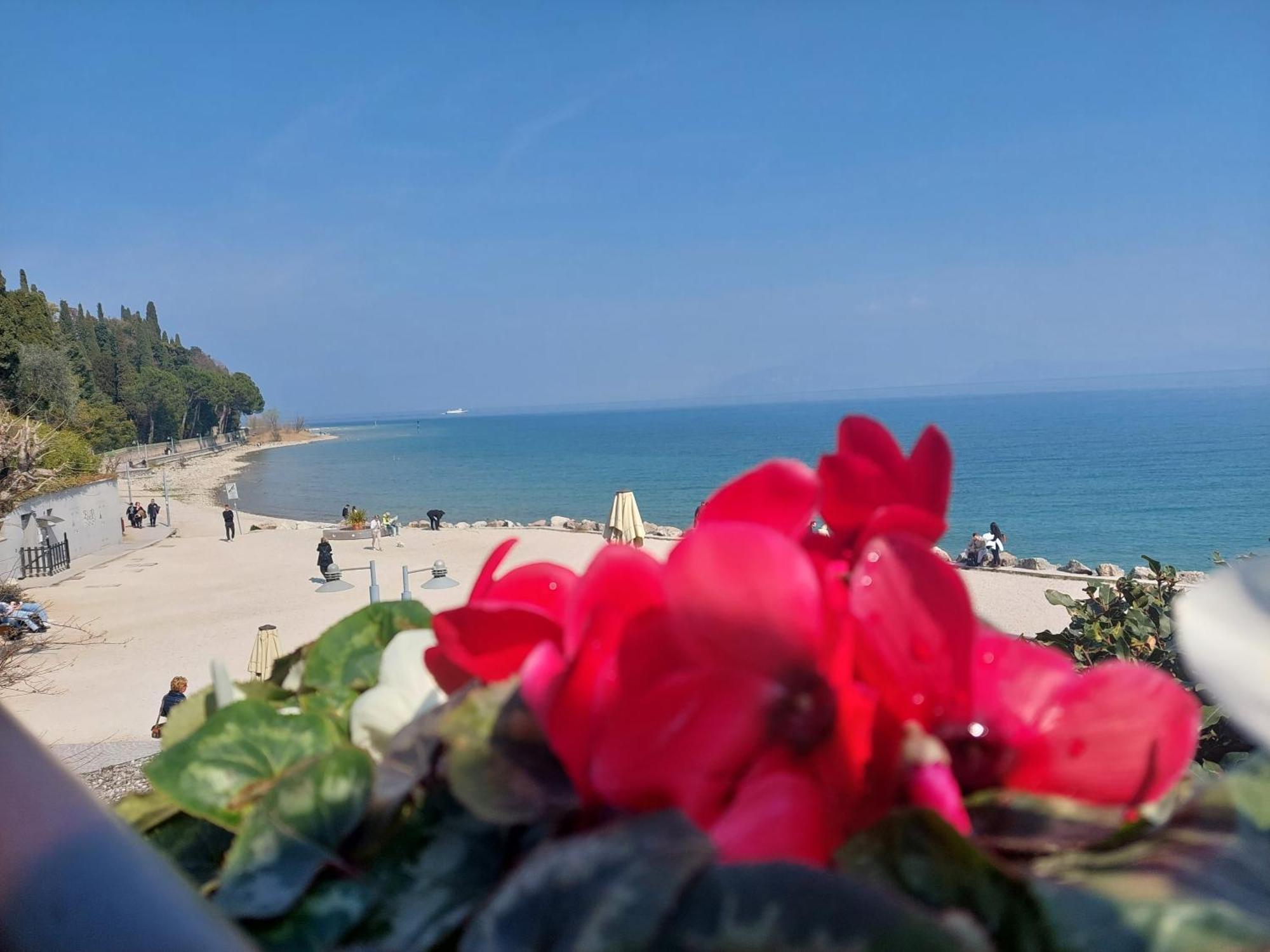 B&B Villa Giulia Дезенцано-дель-Гарда Екстер'єр фото