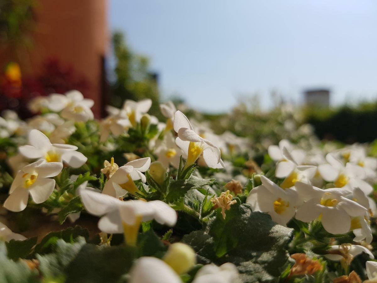 B&B Villa Giulia Дезенцано-дель-Гарда Екстер'єр фото